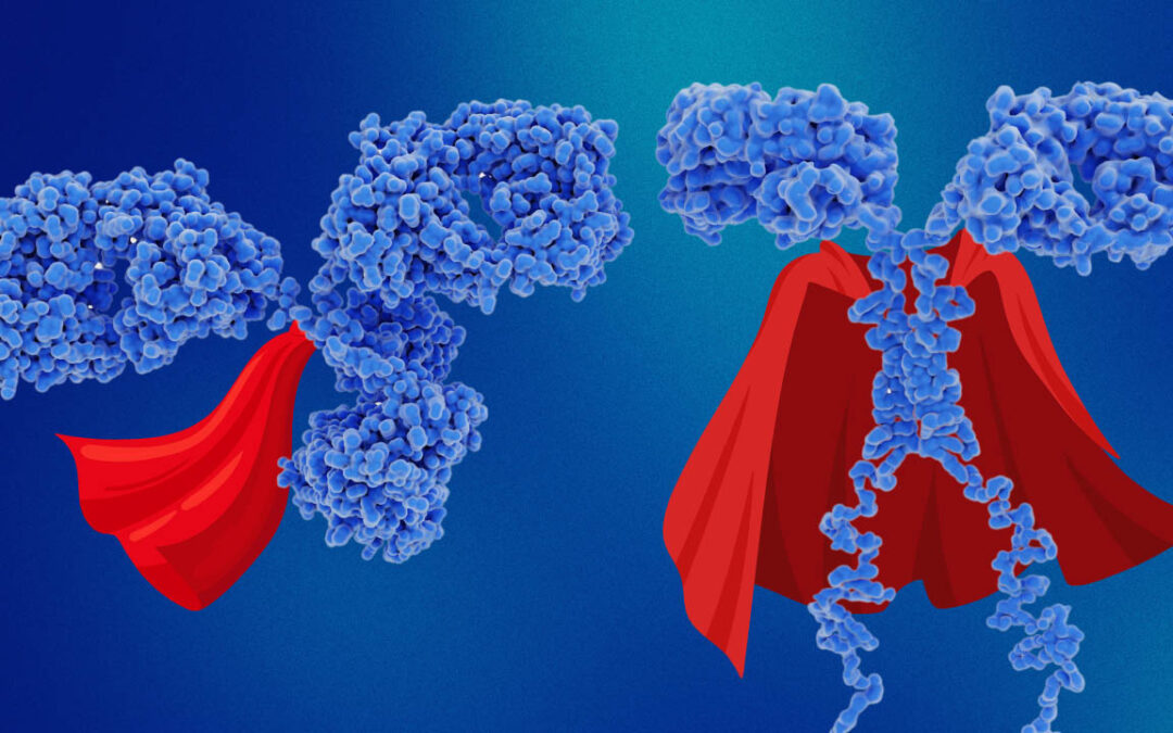 Tiny Superheroes: Antibodies Explained