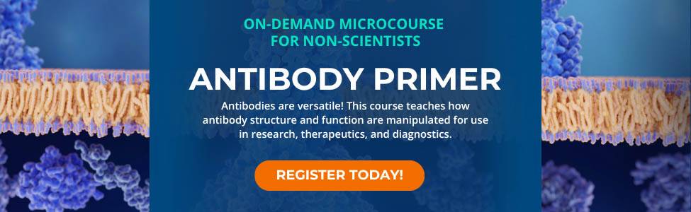 Antibody Primer