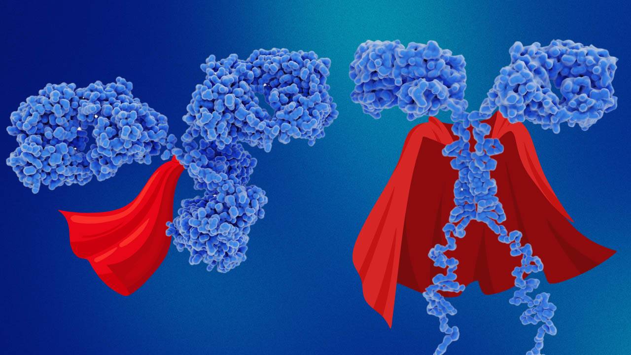 Blog Images Desktop 1280 x 720 – Antibody Superhero Desktop 1280