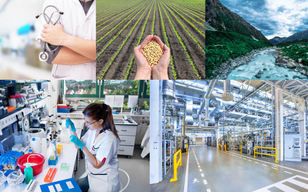 Branches of Biotechnology