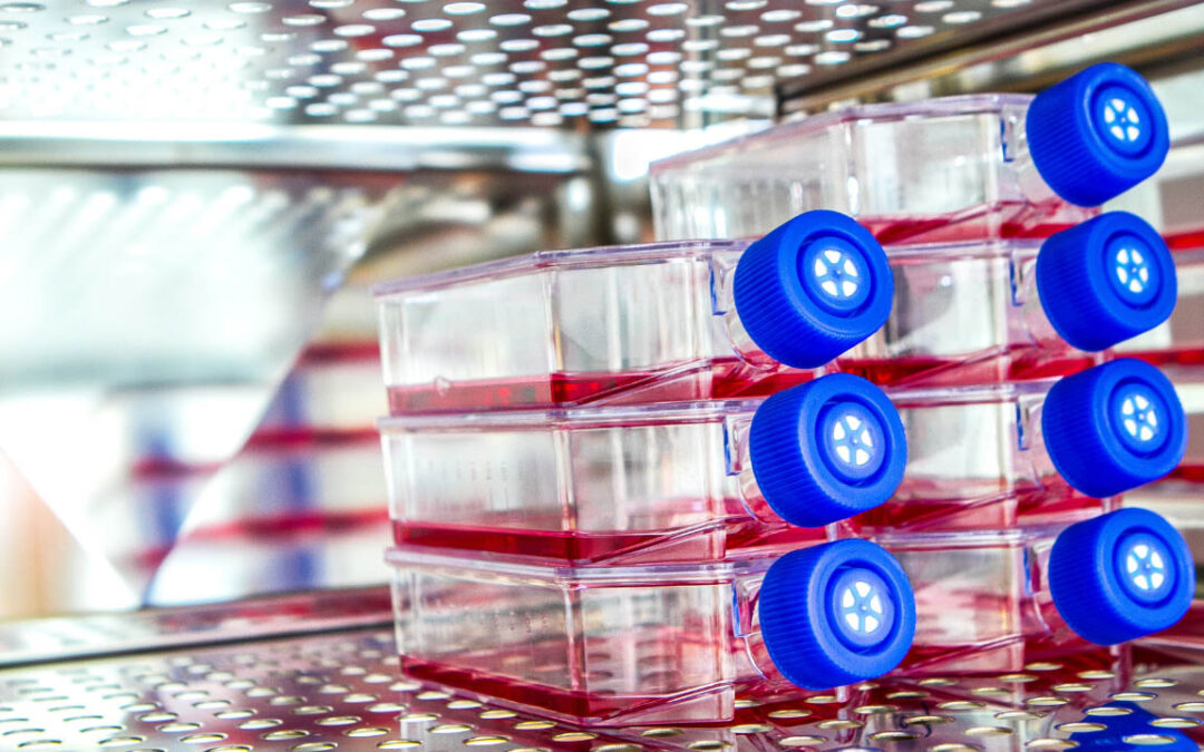 Cell Line Madness