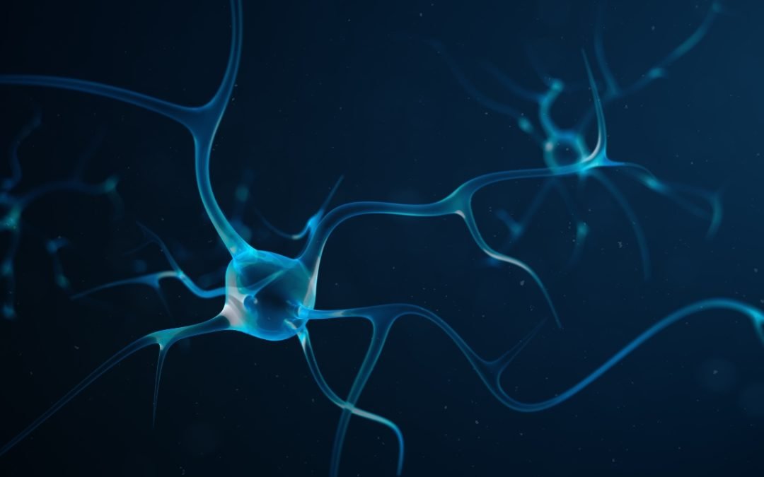 Unlock the Language of Cells with Cell Signaling