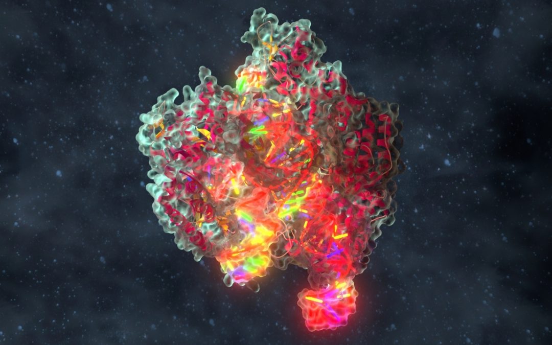 Breaking Barriers with CRISPR’s Regulatory Approval