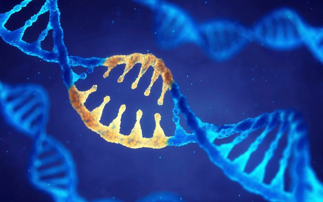 Unlocking the Potential of CRISPR