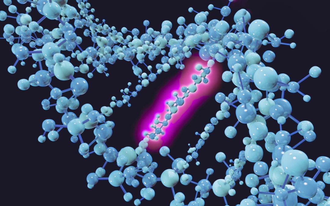 Exploring Epigenetic DNA Modifications