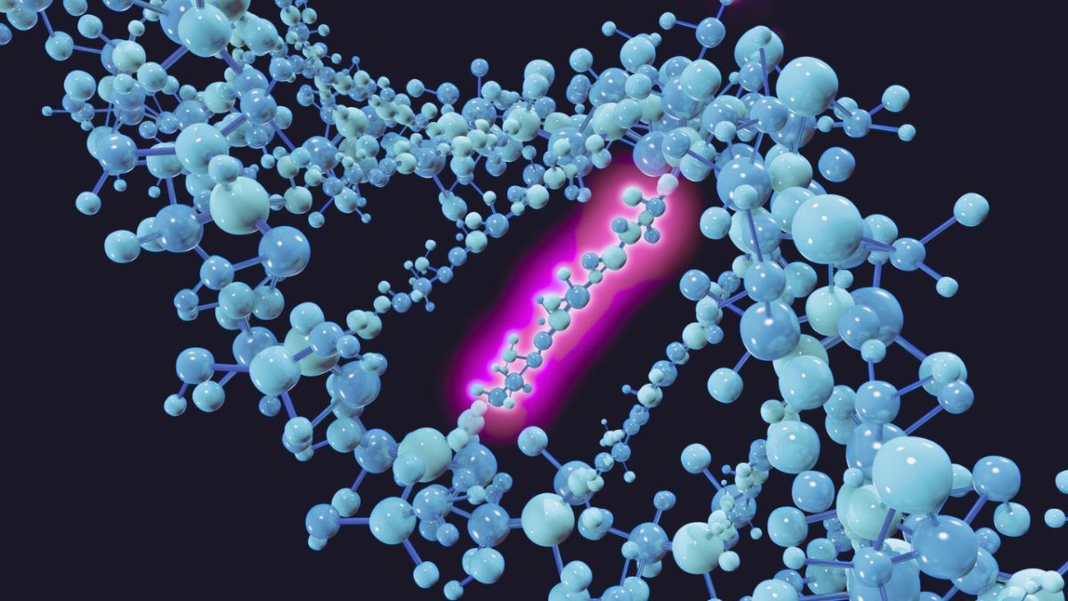 Epigentic Modification of DNA Nature’s Undo Button