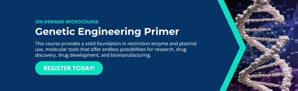 Genetic Engineering Primer