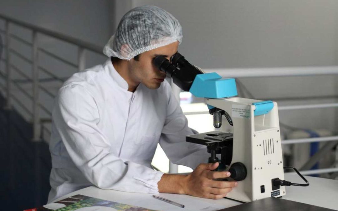 From Drug Discovery to Approval: Phase III