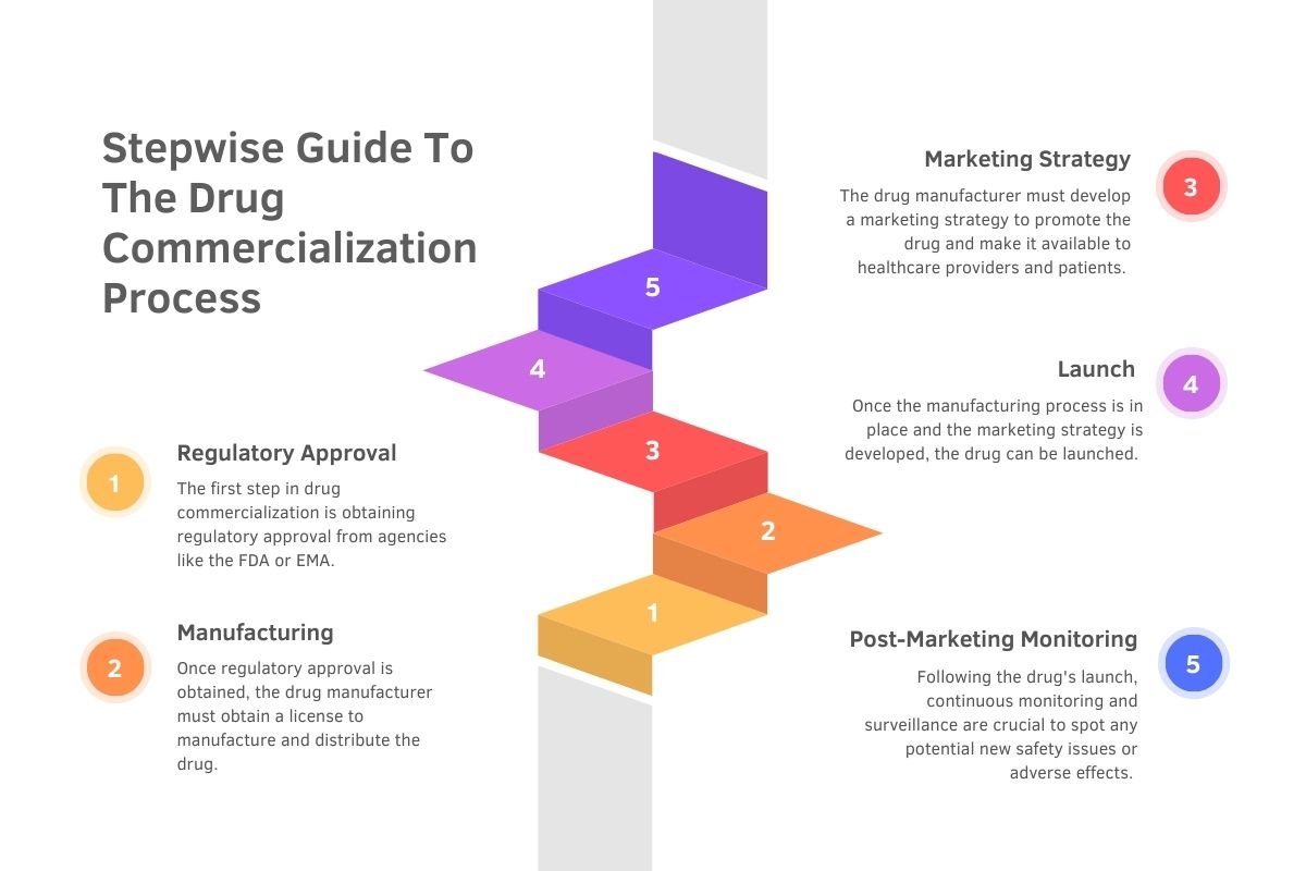 Stepwise Guide To The Drug Commercialization Process Stepwise Guide To The Drug Commercialization Process