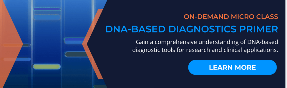 DNA-Based Diagnostic Primer