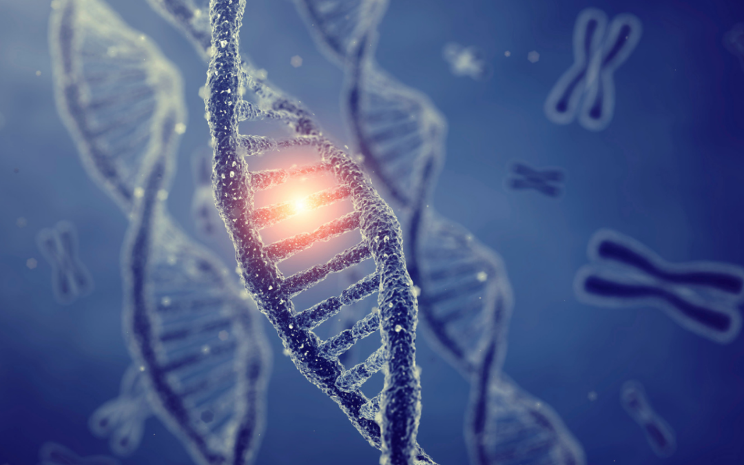 Epigenetics: Rewriting the Future of Aging