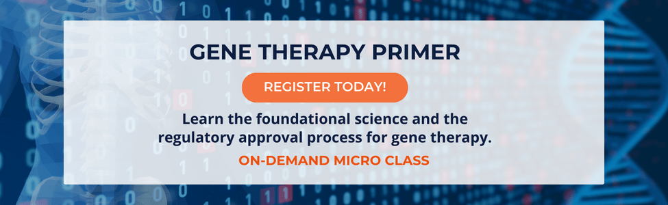 gene therapy primer