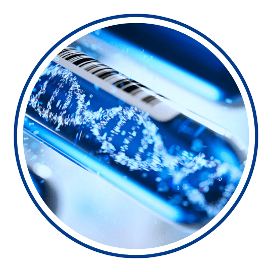 Icon Clinical Development 201_ Phase I