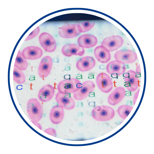 Icon Preclinical Development Primer 101