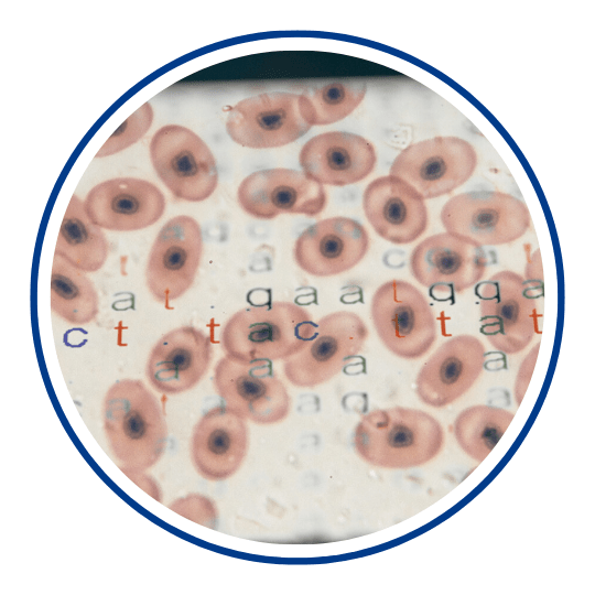 Icon Preclinical Development Primer 201