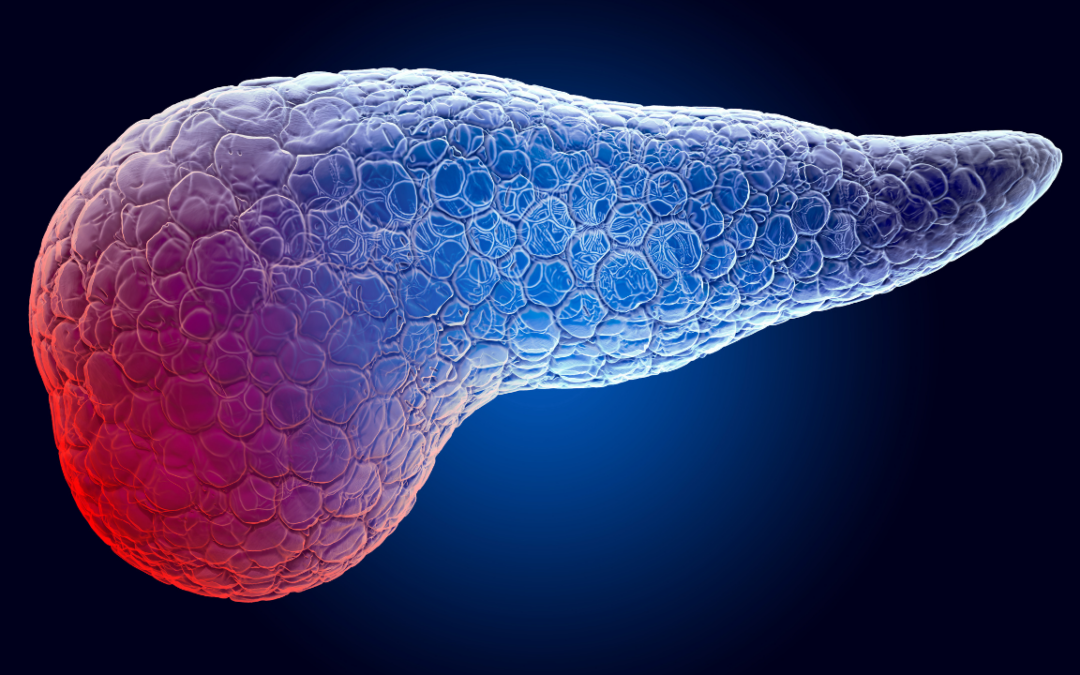 Targeted Disruption: The Rise of PARP Inhibitors